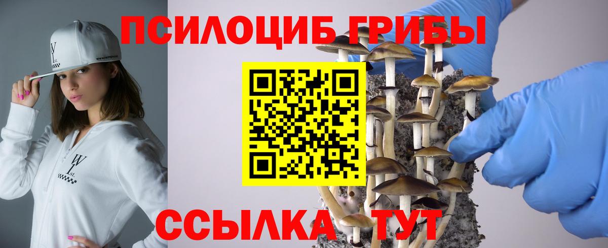 Псилоцибиновые грибы GOLDEN TEACHER Карпинск