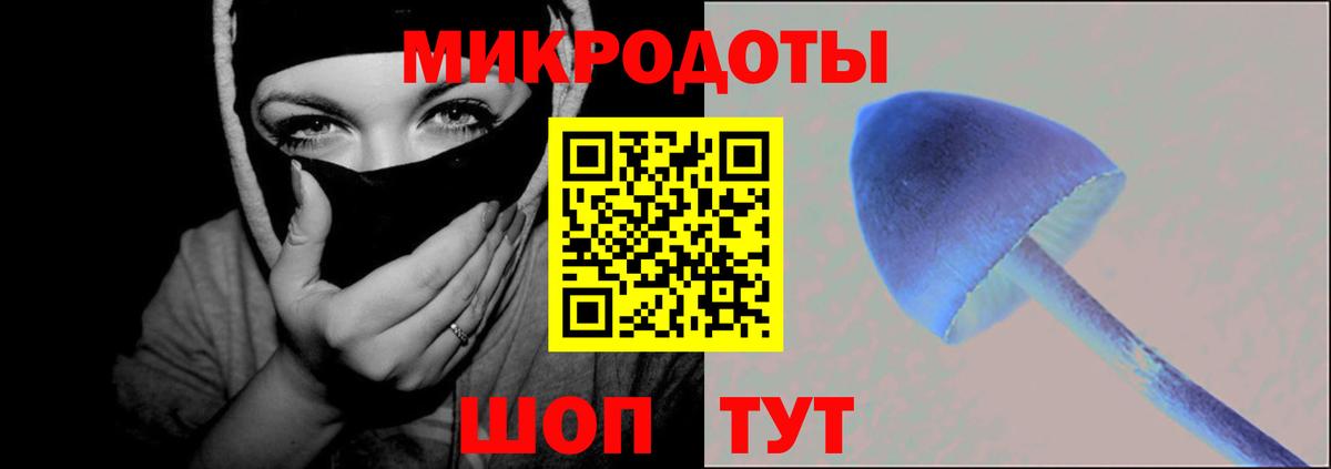 Карпинск  Галлюциногенные грибы Psilocybe  что такое наркотик  Вход с VPN 
